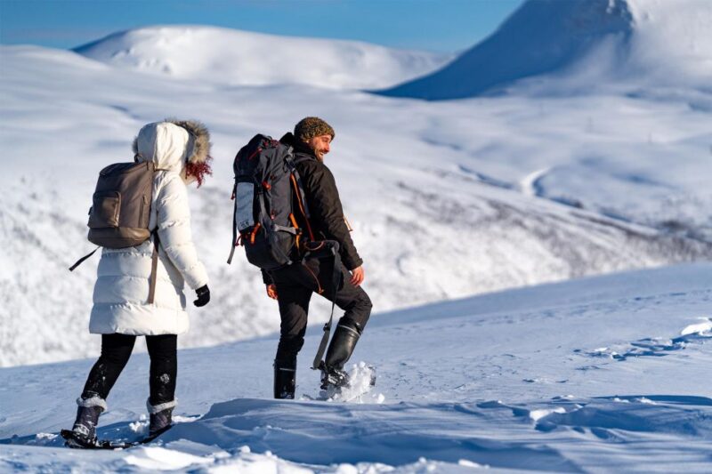Tromsø: Daytime Fjellheisen Snowshoe Hike and Cable Car Ride - Experience Highlights
