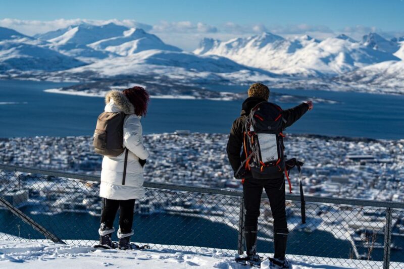 Tromsø: Daytime Fjellheisen Snowshoe Hike and Cable Car Ride - Booking Information
