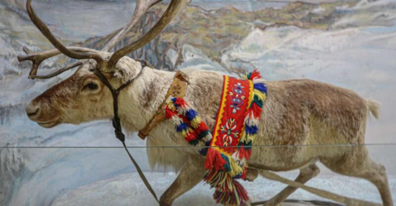 Tromsø: Discover Sami Culture Museum Expedition - Sami Cultural Significance