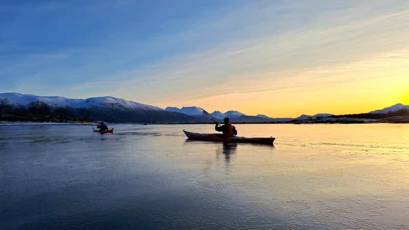 Tromsø: Easy Winter Kayaking Tour With Seal Watching - Key Points