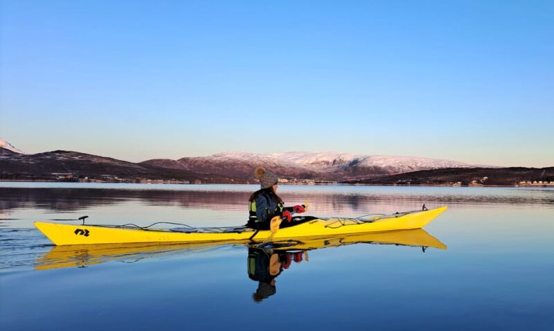 Tromsø: Easy Winter Kayaking Tour With Seal Watching - Activity Highlights
