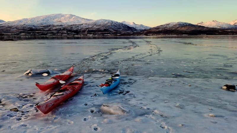 Tromsø: Easy Winter Kayaking Tour With Seal Watching - Whats Included