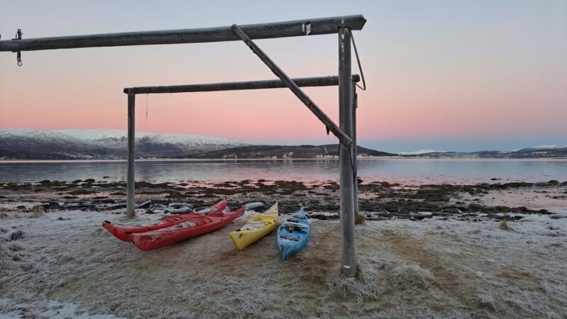 Tromsø: Easy Winter Kayaking Tour With Seal Watching - Important Information