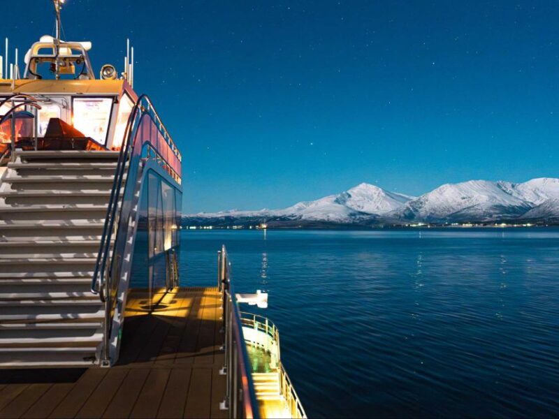 Tromsø: Electric Northern Lights Cruise - Tour Details