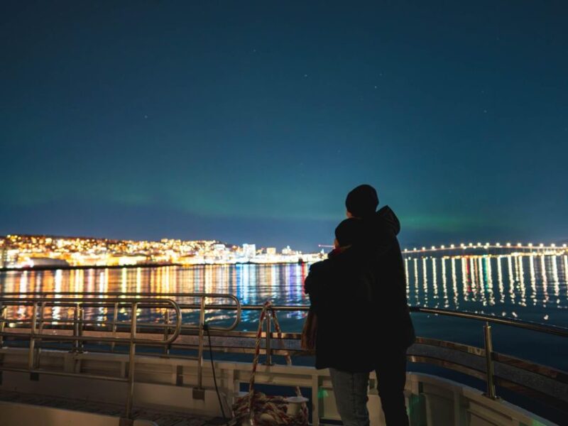 Tromsø: Electric Northern Lights Cruise - Participant Information