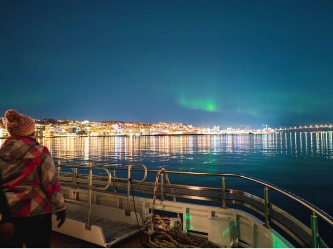Tromsø: Electric Northern Lights Cruise - Tips for the Experience