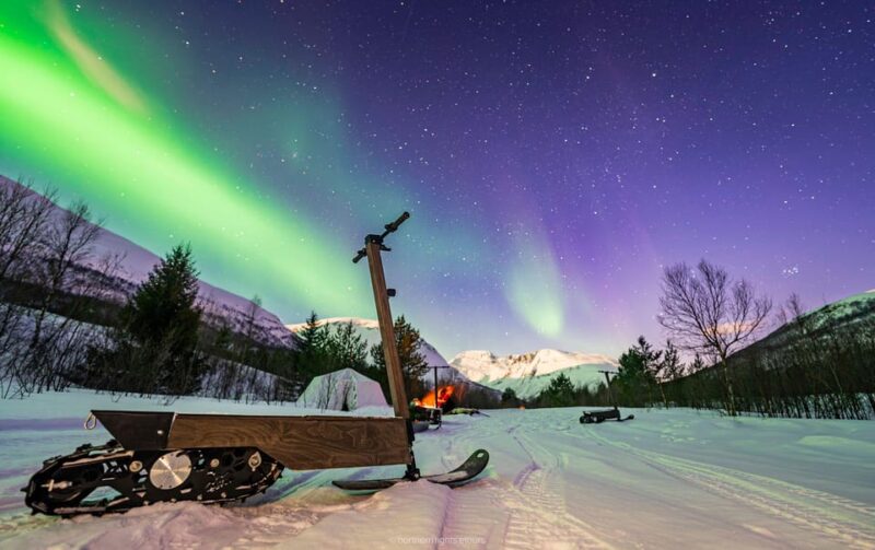 Tromsø: Electric Snow Scooter Ride and Northern Lights Hunt - Customer Experience and Reviews