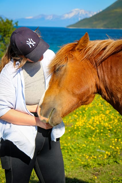 Tromsø: Evening Horseriding Experience - Important Information