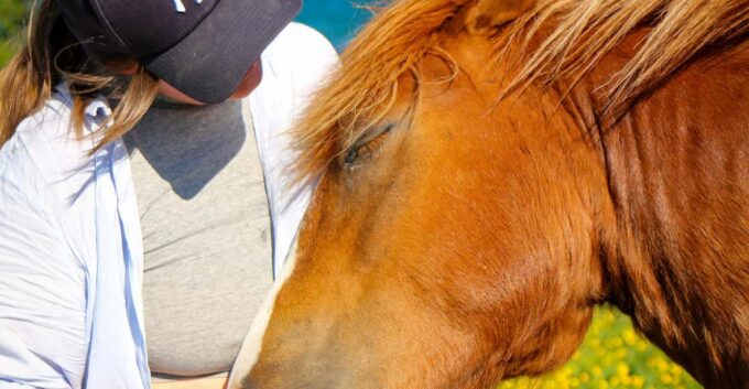Tromsø: Evening Horseriding Experience - Cultural Immersion