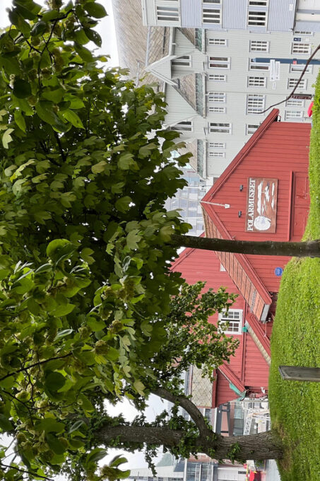 TROMSØ: Explore The City And a Guided Tour Of PolarMuseum! - Guided Tour of Polar Museum
