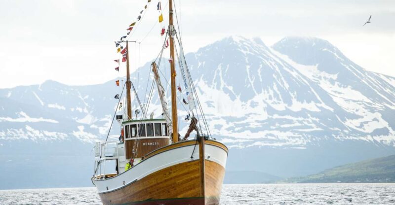 Tromsø: Fishing & Fjord Cruise - Key Points