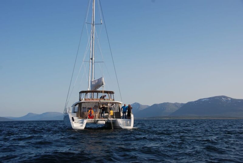 Tromsø: Fjord and Islands Luxury Catamaran Cruise - Meeting Point and Important Information