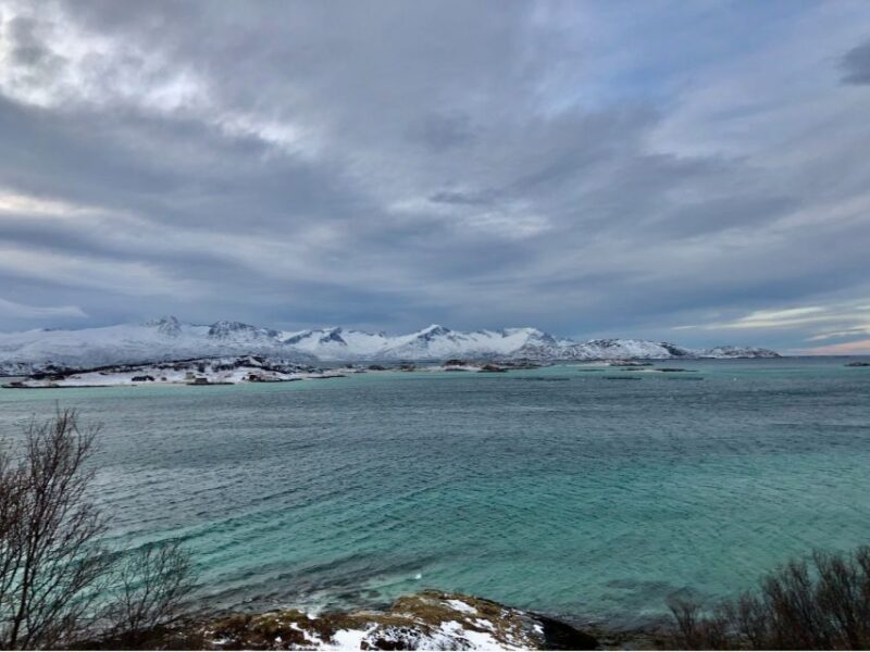 Tromsø: Fjord and Sommarøy Island Tour - Key Points
