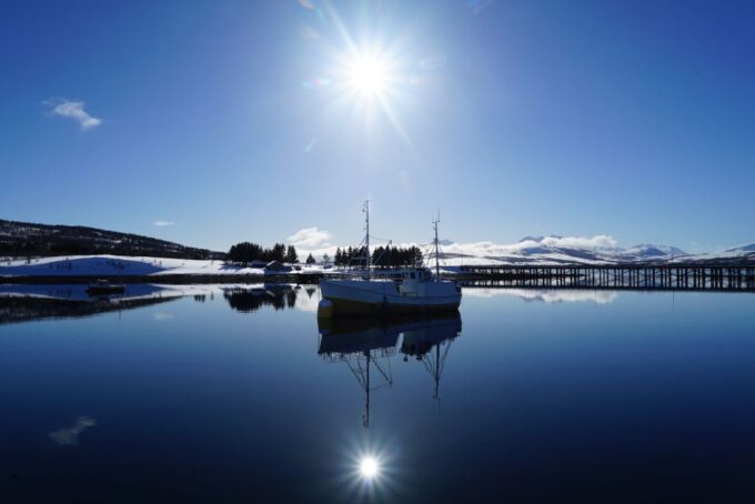 Tromsø: Fjord Cruise by Luxury Yacht - Customer Ratings and Feedback