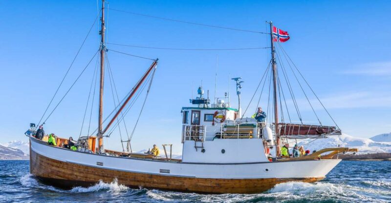 Tromsø: Fjord & History Cruise - Important Information