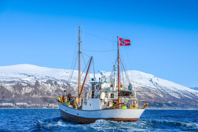 Tromsø: Fjord & History Cruise - Customer Recommendations