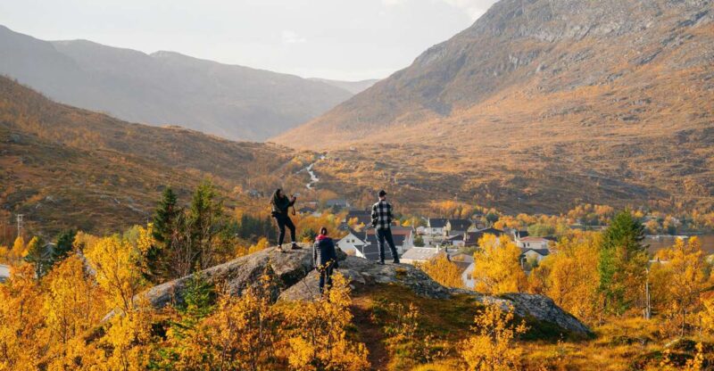 Tromsø: Fjord Photo Tour by Minibus - Key Points