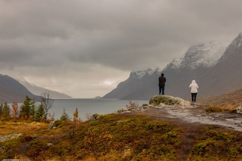 Tromsø: Fjord Photo Tour by Minibus - Explore Northern Norways Nature