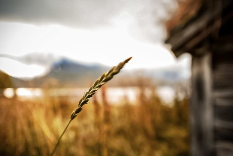 Tromsø: Fjord Photo Tour by Minibus - Photography Tips From a Professional