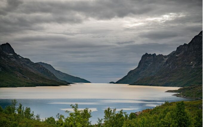 Tromsø: Fjord Photo Tour by Minibus - Customer Feedback and Experiences