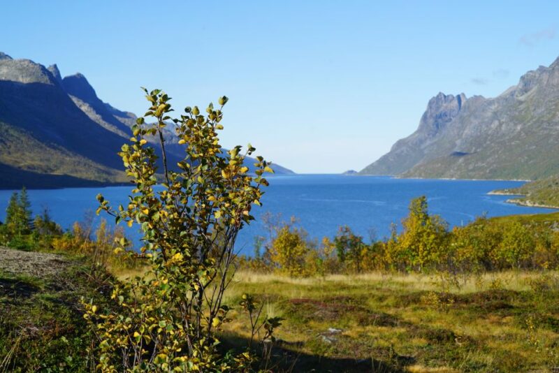 Tromsø: Fjord Sightseeing in a Tesla X Luxury Electric Car - Key Points