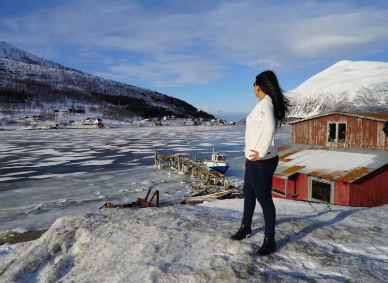 Tromsø: Fjord Sightseeing in a Tesla X Luxury Electric Car - Nature Exploration