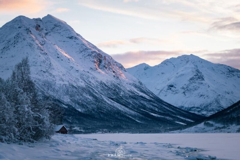 Tromso: Guided Fjord Expedition & Kvaløya Island With Lunch - Key Points