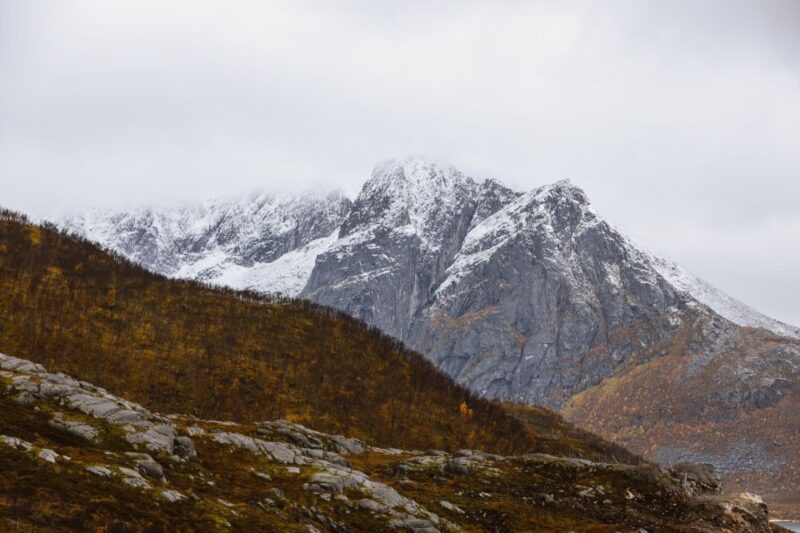 Tromso: Guided Fjord Expedition & Kvaløya Island With Lunch - Customer Experience and Feedback