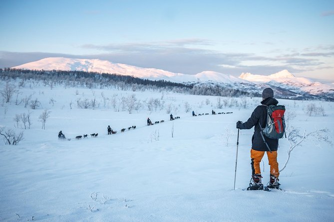 Tromso Guided Snowshoe Trip - Inclusions and Gear