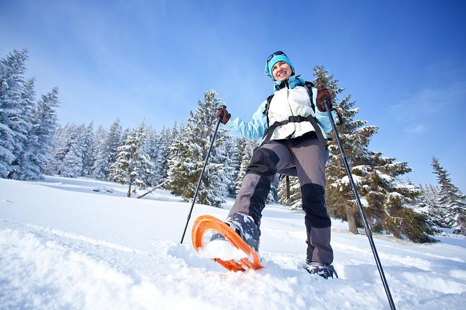 Tromso Guided Snowshoe Trip - Participant Requirements