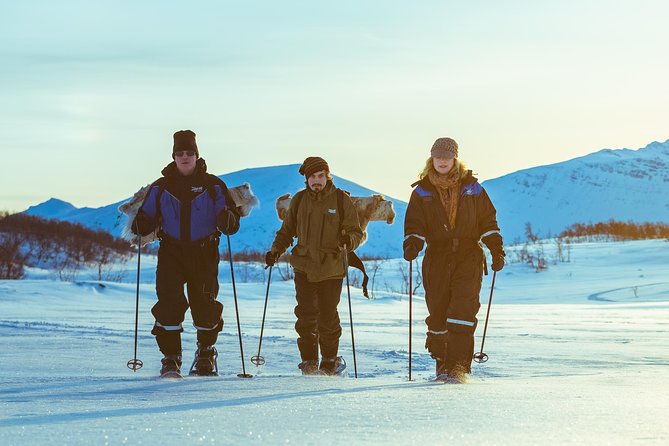 Tromso Guided Snowshoe Trip - Interaction With Huskies