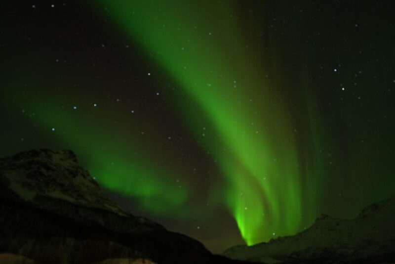 Tromsø: Guided Tours to See the Northern Lights: - Customer Reviews
