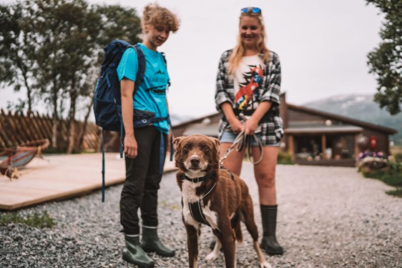 Tromsø: Husky Hike and Puppy Visit With Traditional Lunch - Customer Reviews