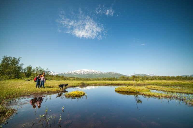 Tromsø: Husky Hike and Puppy Visit With Traditional Lunch - Scenic North Norwegian Countryside