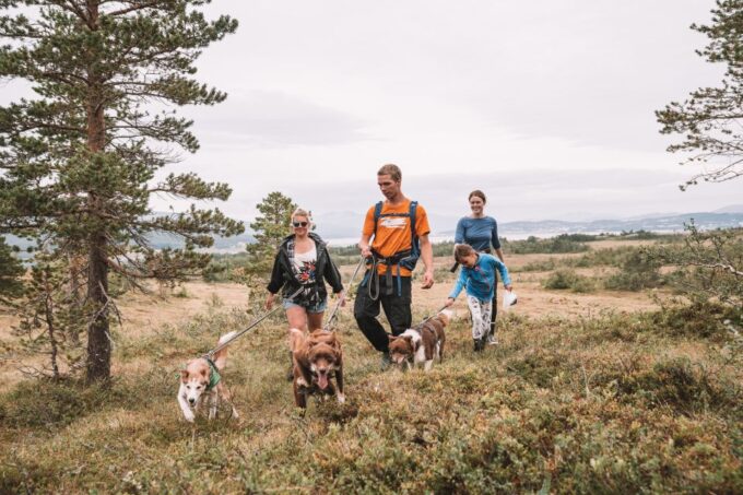 Tromsø: Husky Hike and Puppy Visit With Traditional Lunch - Interaction With Alaskan Huskies