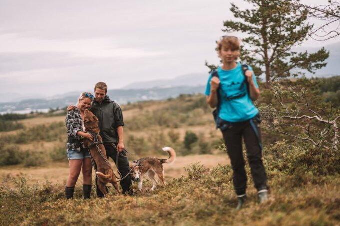 Tromsø: Husky Hike and Puppy Visit With Traditional Lunch - Traditional Sami Lavvo Lunch