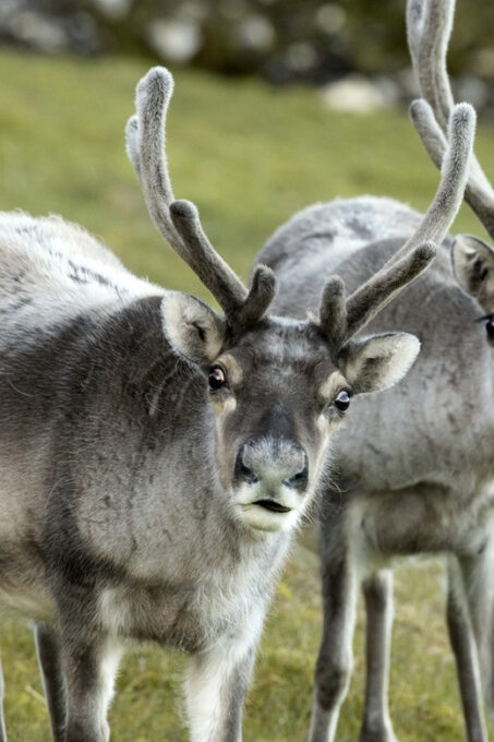 Tromso Instagram Fjord Tour: The Most Breathtaking Fjords - Breathtaking Fjord Landscapes