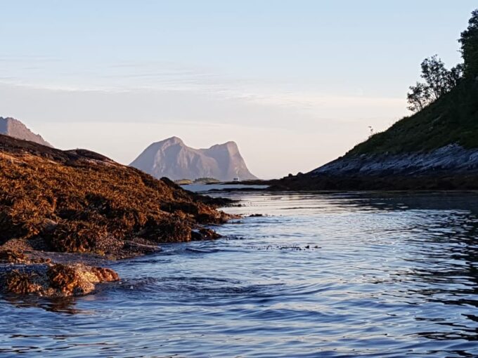Tromso Instagram Fjord Tour: The Most Breathtaking Fjords - Wildlife Viewing Opportunities