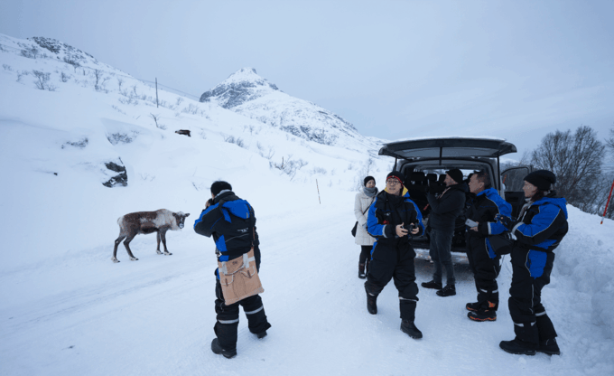 Tromso Instagram Fjord Tour: The Most Breathtaking Fjords - Frequently Asked Questions
