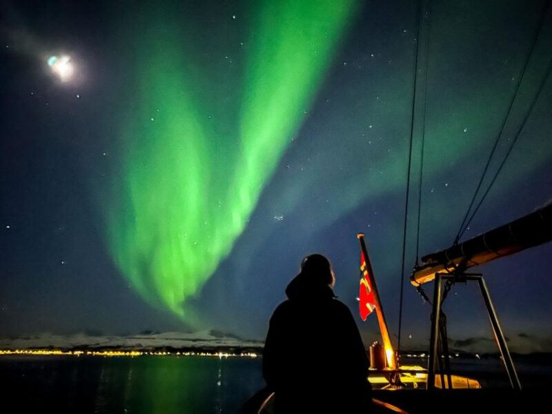 Tromso: Luxury Northern Lights Cruise With Hot Tub & Dinner - Meeting Point and Important Information