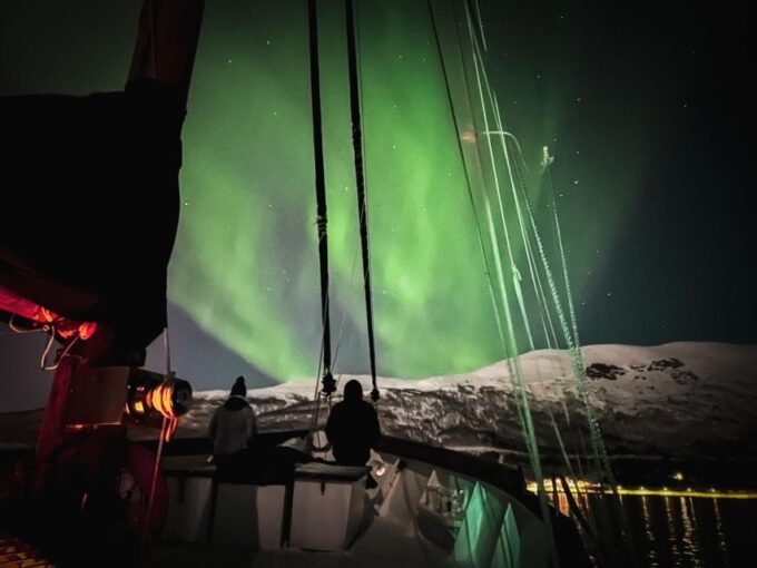 Tromso: Luxury Northern Lights Cruise With Hot Tub & Dinner - Traditional Norwegian Cuisine