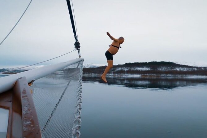 Tromso Luxury Sailing Yacht Polar Fjord Cruise With Lunch - Explore the Polar Fjords