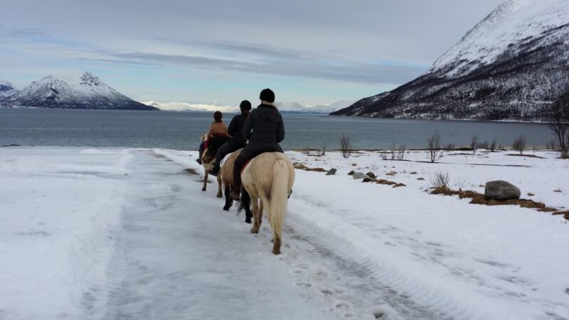 Tromsø: Lyngen Horseback Riding Experience - Itinerary and Highlights