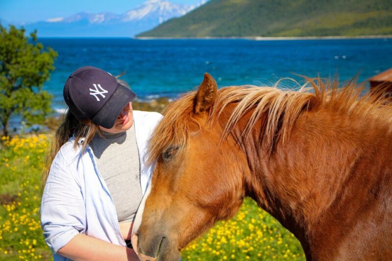 Tromsø: Lyngen Horseback Riding Experience - Riding Through Scenic Vistas