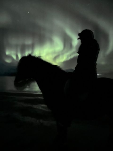 Tromsø: Lyngen Horseback Winter Evening Riding Experience - Customer Feedback