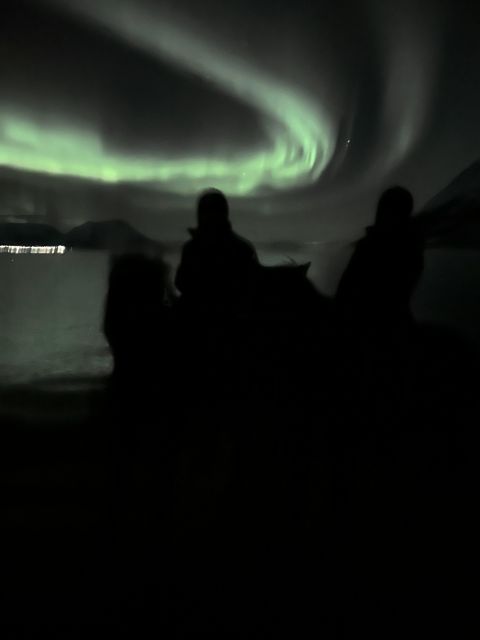 Tromsø: Lyngen Horseback Winter Evening Riding Experience - Recap