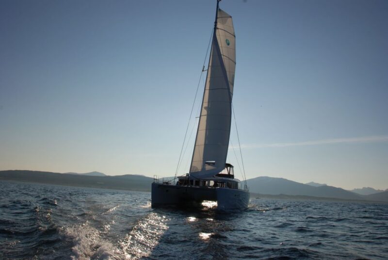 Tromsø: Midnight Sun Cruise in a Luxury Catamaran - Key Points