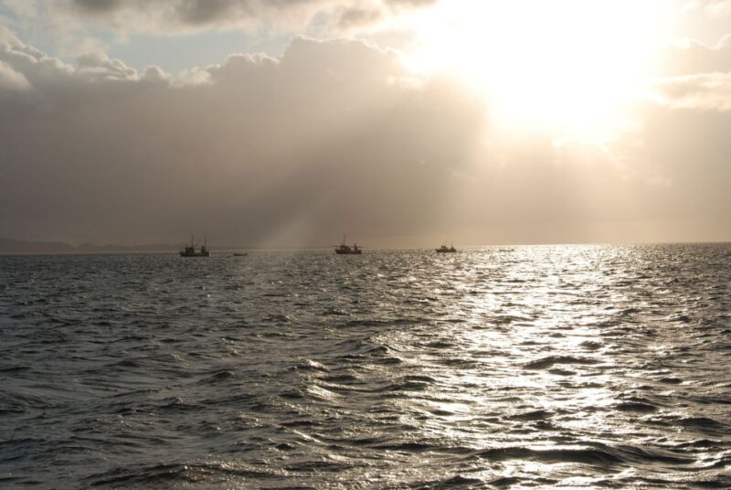 Tromsø: Midnight Sun Cruise in a Luxury Catamaran - Experience Highlights
