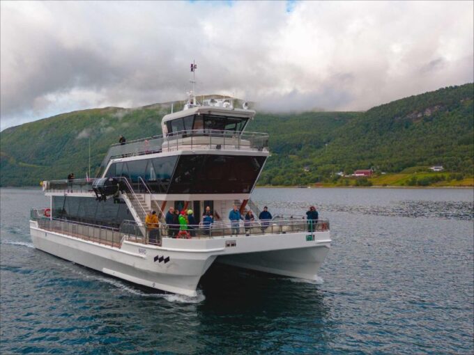 Tromsø: Midnight Sun or Sunset Cruise With a Guide - Wildlife and Weather Conditions