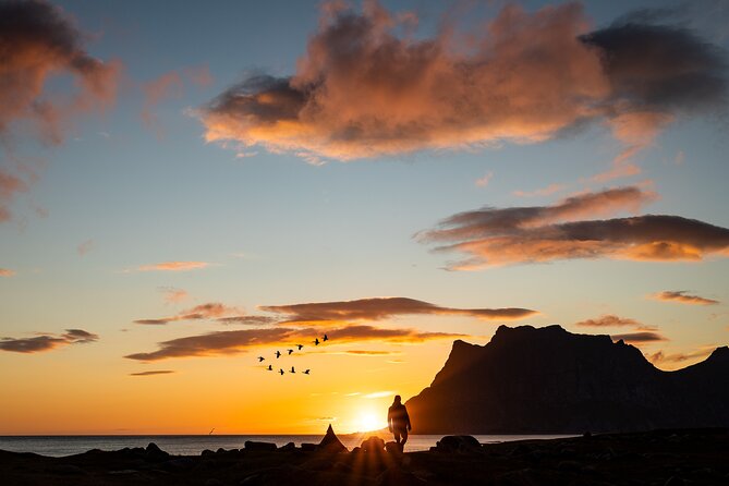 Tromsø: Northern Fjords and Barbecues Under the Midnight Sun 2025 - Tromso - Customer Ratings and Feedback